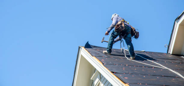 Best Roof Gutter Cleaning  in Tlassee, AL
